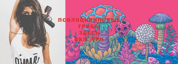 МДМА Белокуриха