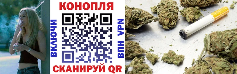 Канабис планчик Купить где Ладушкин